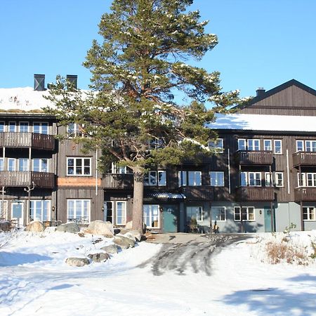Hovdehytta Apartment Hovden  Bagian luar foto